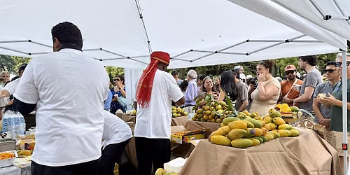 Mango Festival in Dupont Circle Park with the Indian Embassy