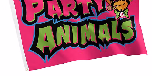 Party Animals vs. Savannah Bananas at Grayson Stadium