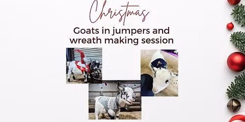 Wreath making with goats in Christmas jumpers