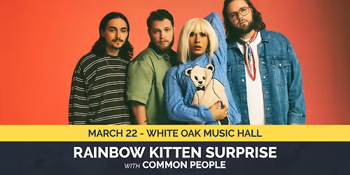 Rainbow Kitten Surprise