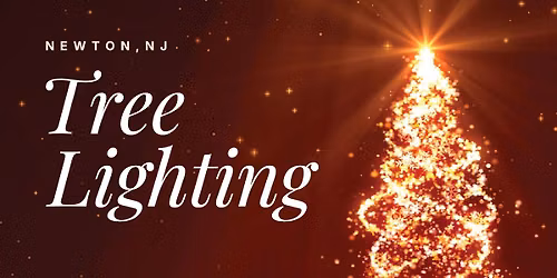 Newton Tree Lighting