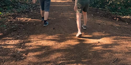 Fitness Festival - Walking Workout