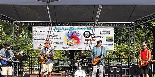 The DB Band At Dog Days of Summer Festival