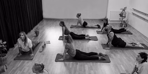 Vinyasa Yoga Class
