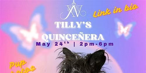 Tilly\u2019s Quincea\u00f1era