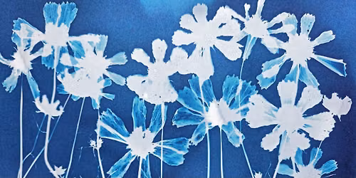 Cyanotype Workshop with Madge Evers
