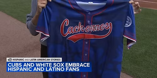 Chicago Cubs at Chicago White Sox at Rate Field