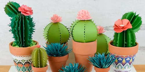 Make a Mini Cactus