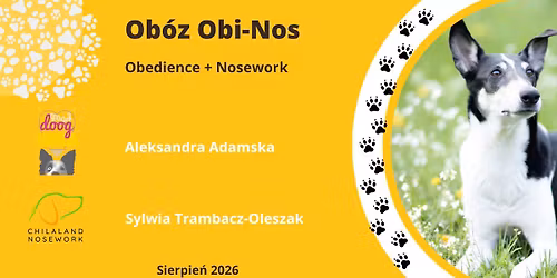 Ob\u00f3z obedience i nosework w Dog Toku