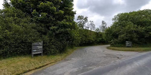 Doggy Days Out - Fishpools, nr Knighton, Radnor Forest 