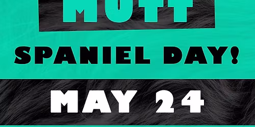 MUTT Spaniel Day!