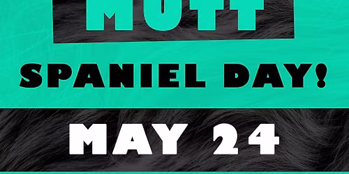 MUTT Spaniel Day!