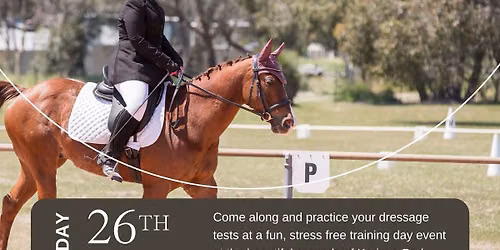 Orange Grove Dressage Training Day 