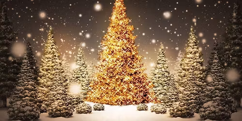 11th Annual Lynn Tech Festival of Trees