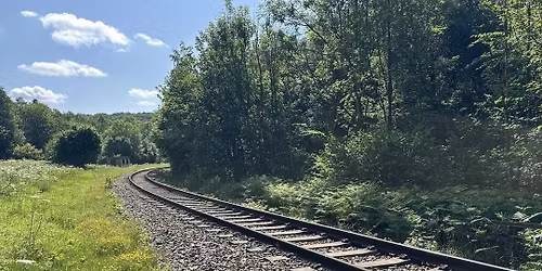 Febraury Friday Walk - Pickering and Park Woods - 5 miles\/8km