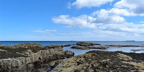 Bank Holiday Rockpooling