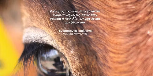 Documentary: The World Shrinks