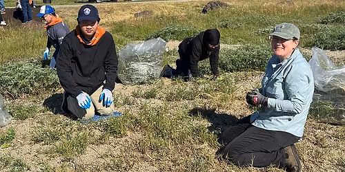 Volunteer workday: Point Dume Nature Preserve