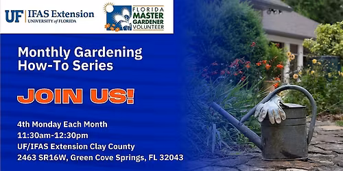 Monthly Gardening How-To Series- Rain Gardens and Run-Off