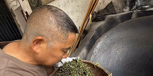 Tea Tasting: Sheng Puer