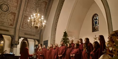 Julalls\u00e5ngskonsert \u201dHoly night\u201d