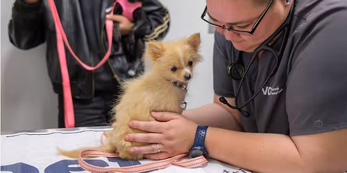 Pop-Up Roswell Vaccine Clinic