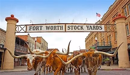 Make Dallas Fun Again