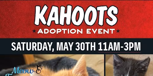 Meow & Furrever Rescue Cat Adoption 