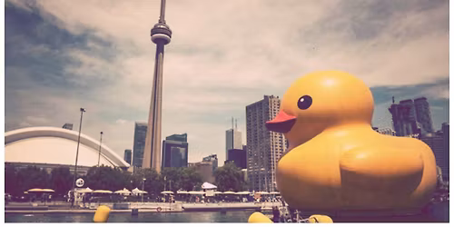 SERIOUSLY QUACK-ERS Disc Dog Weekend