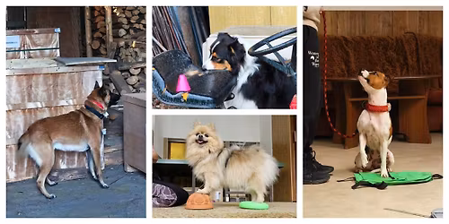 Pestr\u00fd v\u00fdcvikov\u00fd v\u00edkend XXII - b\u0159ezen 2026