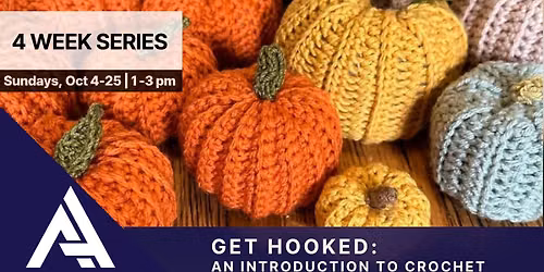 Get Hooked: An Introduction to Crochet
