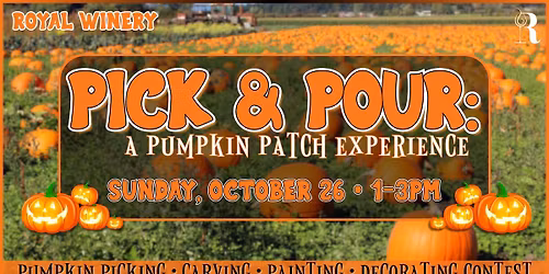 Pick & Pour: A Pumpkin Patch Experience
