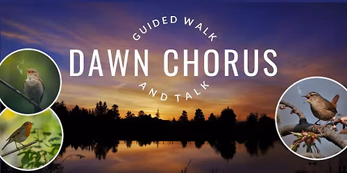 Dawn Chorus Guided Walk & Talk