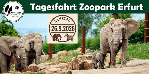 Tagesfahrt - Zoopark Erfurt