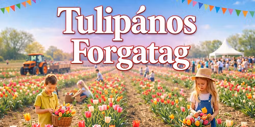 Tulip\u00e1nos Forgatag M\u00e1riak\u00e1lnokon