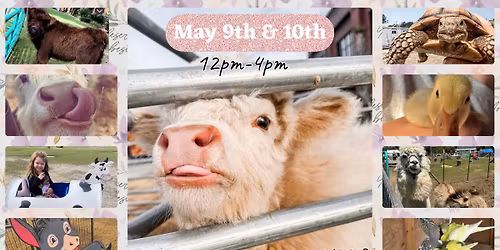 Mother\u2019s Day On The Farm!\ud83c\udf38\ud83d\udc37\ud83d\udc2e