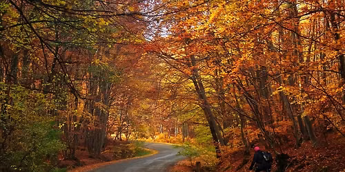LACROSSE FALL FOLIAGE TOUR
