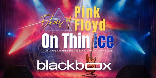 On Thin Ice - Pink Floyd Tribute Band