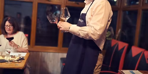 Festive Wine Tasting🌲🍷🍾