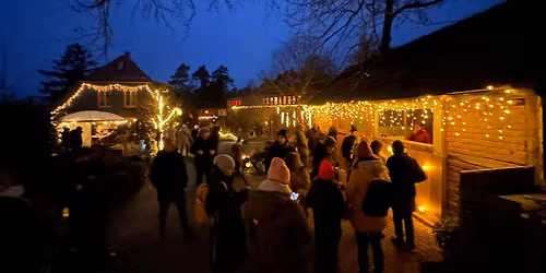 Kleine Waldweihnacht Hohenfelden