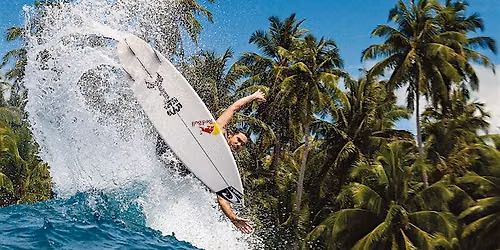 Carve 232  Launch Party