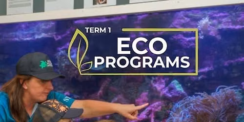 ECO KIDDOS - Term 3