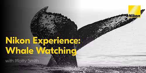 Nikon Experience: Whale Watching with Nikon Ambassador Matty Smith