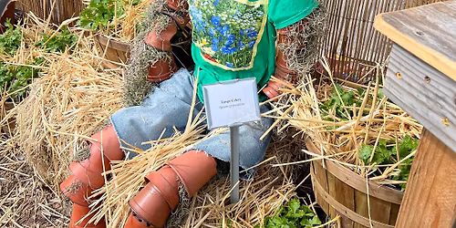 Art in the Garden Class: using found objects to enhance your landscape