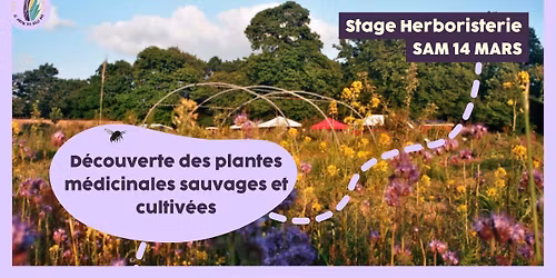 Stage 1 jour : D\u00e9couverte des plantes m\u00e9dicinales sauvages et cultiv\u00e9es