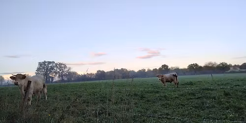 Vente exceptionnelle ! 