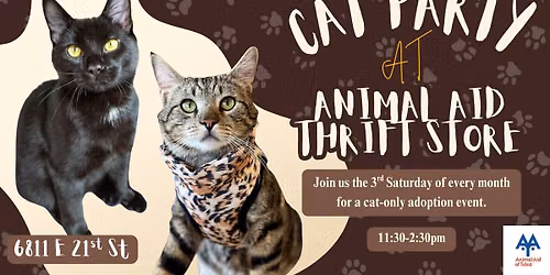 Cat Party at Animal Aid Thrift Store!