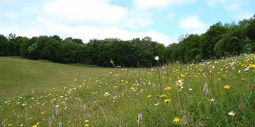 Field Identification Skills Certificate (FISC)