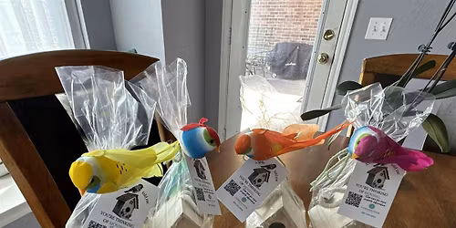 Marketing tips with Charlotte & Velvet