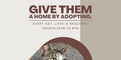 ADOPTION EVENT